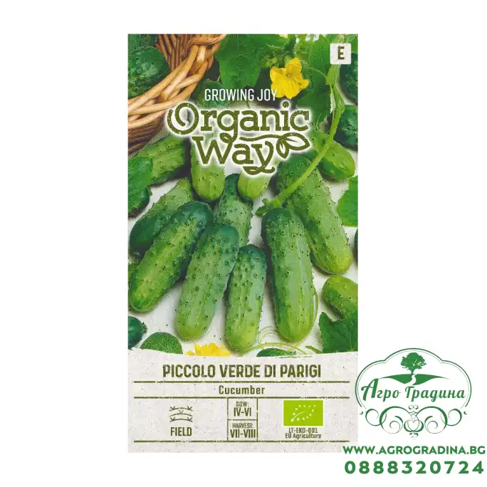 Органик Краставици Пиколо Верде Ди Парижи / Piccolo verde di Parigi