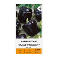 Пипер черни камби Андромеда F1 Andromeda Н