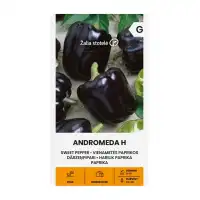 Пипер черни камби Андромеда F1 Andromeda Н