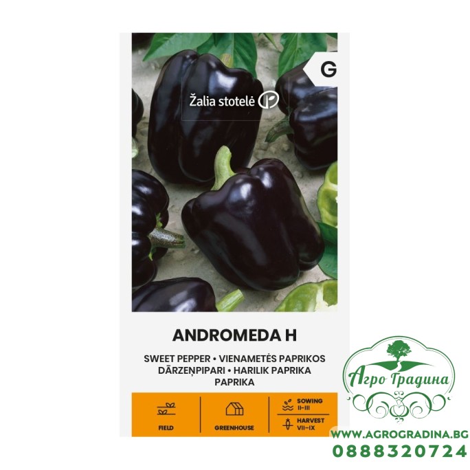 Пипер черни камби Андромеда F1 Andromeda Н