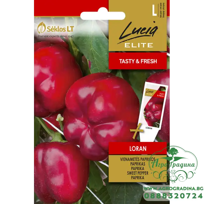 Пипер камби Лоран LORAN