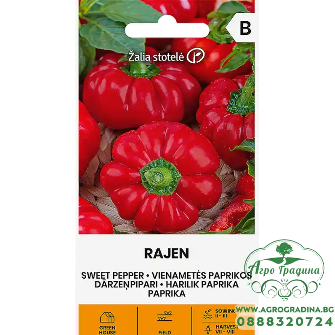 Пипер Раджен Rajen