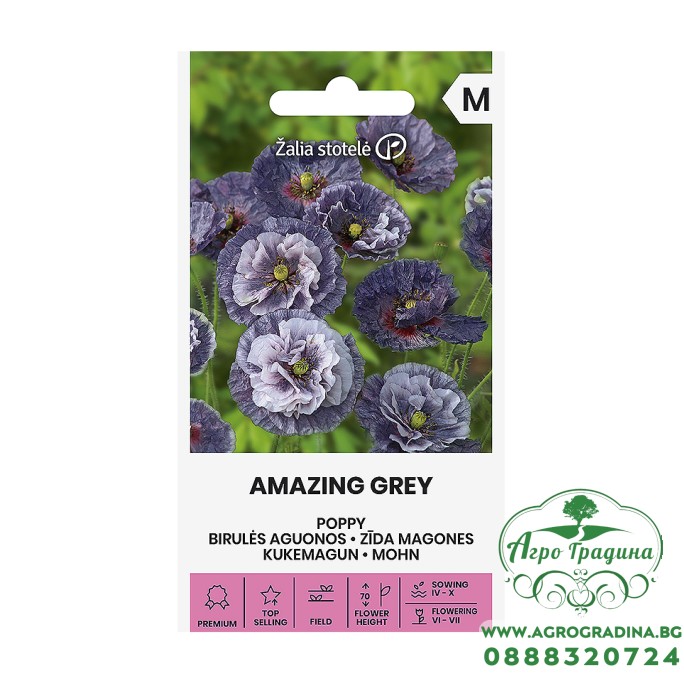 Мак Amazing Grey – Саксийни и градински цветя