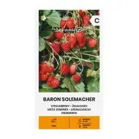 Ягоди Барон Солемахер Fragaria vesca Baron Solemacher