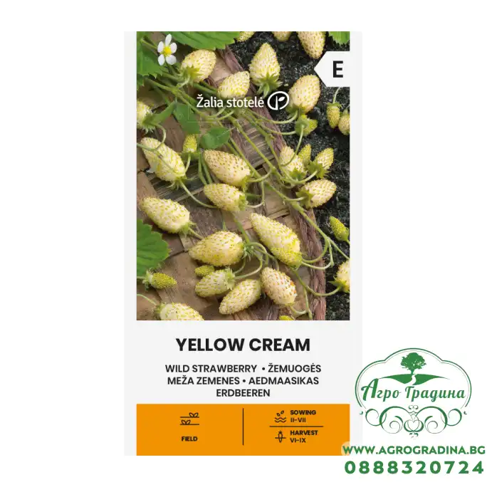 Ягоди Жълт крем Fragaria vesca