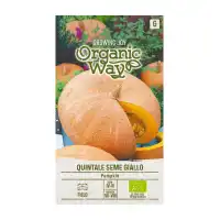 Органик семена Тиква Кинтале семе джиало Cucurbita maxima