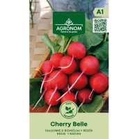 Репички Чери Белл Cherry belle