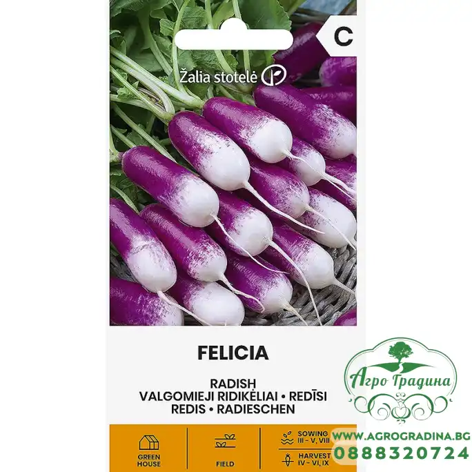 Репички Фелиция Felicia