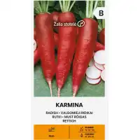 Репички Кармина Karmina