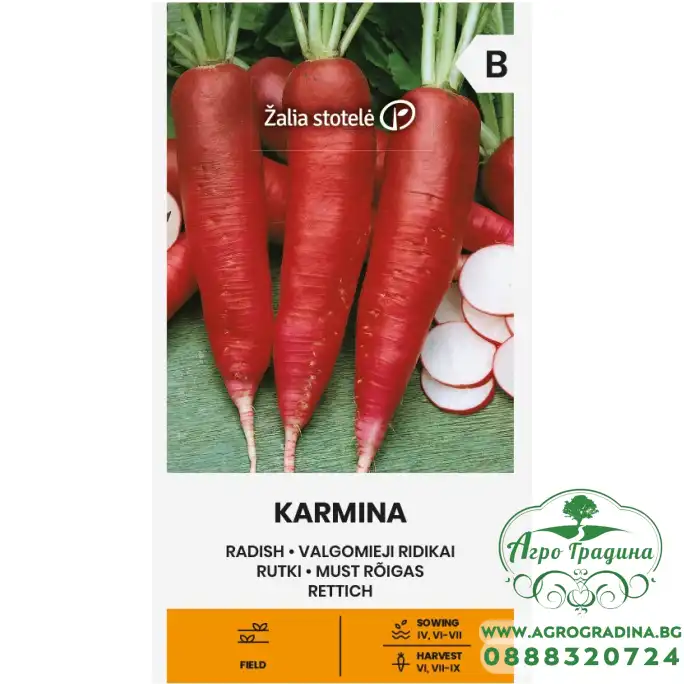 Репички Кармина Karmina