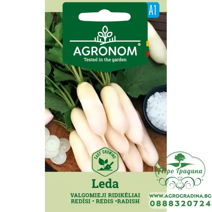 Репички Леда Leda