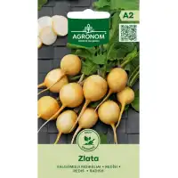 Репички Злата Zlata