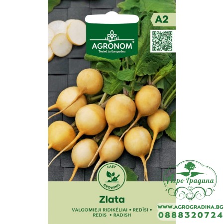 Репички Злата Zlata