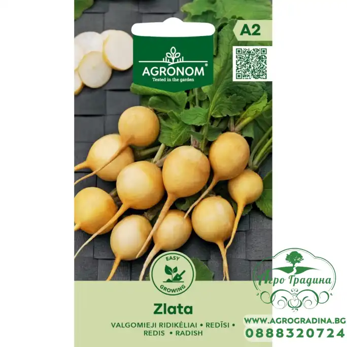 Репички Злата Zlata