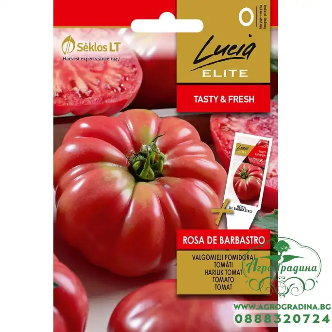 Домат Роза Де Барбастро / Rosa De Barbastro Домат Роза Де Барбастро / Rosa De Barbastro