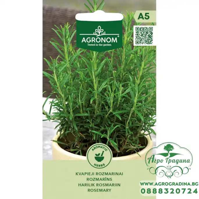 Розмарин Rosmarinus Officinalis