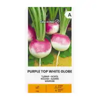 Ряпа Purple Top White Globe