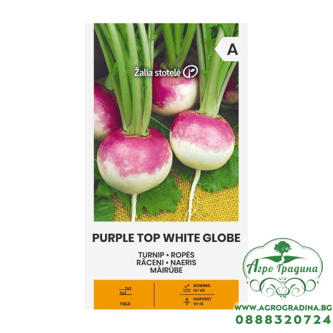 Ряпа Purple Top White Globe