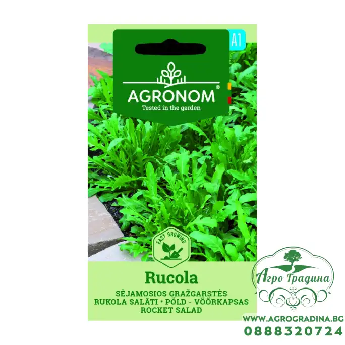 Рукола Eruca sativa Mill.