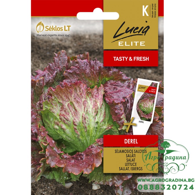 Салата тип Айсберг Дерел / Derel Салата тип Айсберг Дерел / Derel