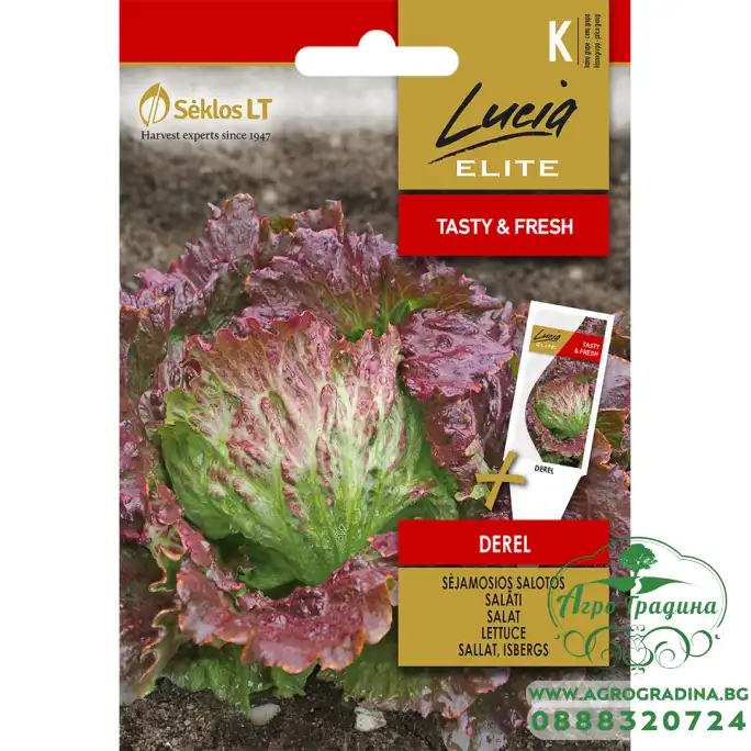Салата тип Айсберг Дерел / Derel