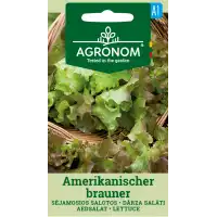 Салата Американ Браунер Amerikanischer Brauner