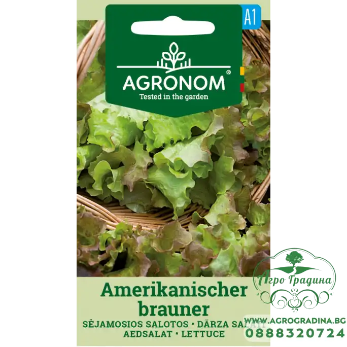 Салата Американ Браунер Amerikanischer Brauner Салата Американ Браунер Amerikanischer Brauner