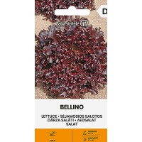 Салата Белино / Bellino