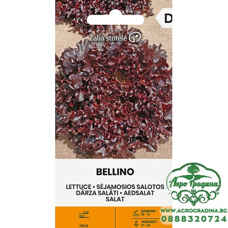 Салата Белино / Bellino