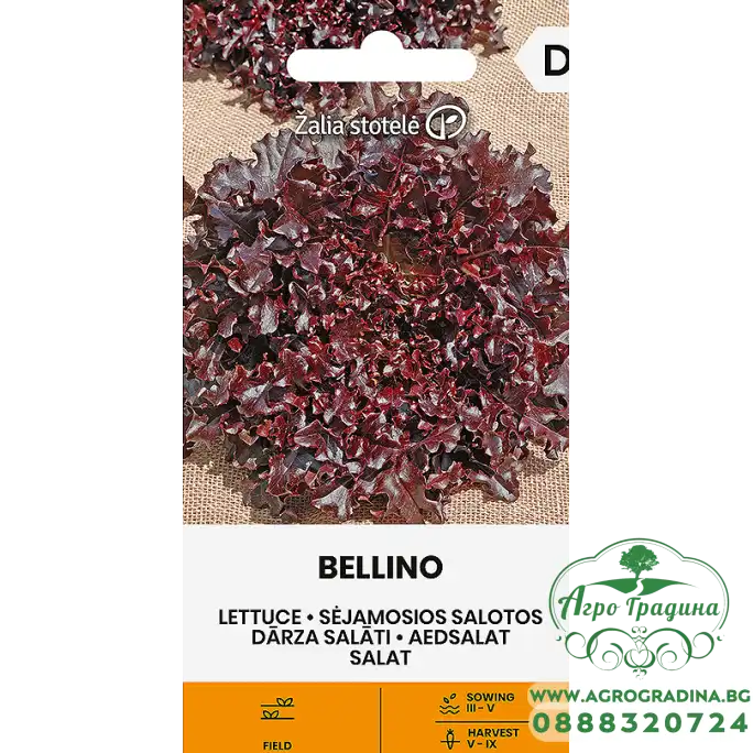 Салата Белино Bellino