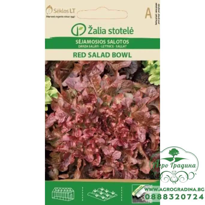 Салата червена Bowl Салата червена Bowl