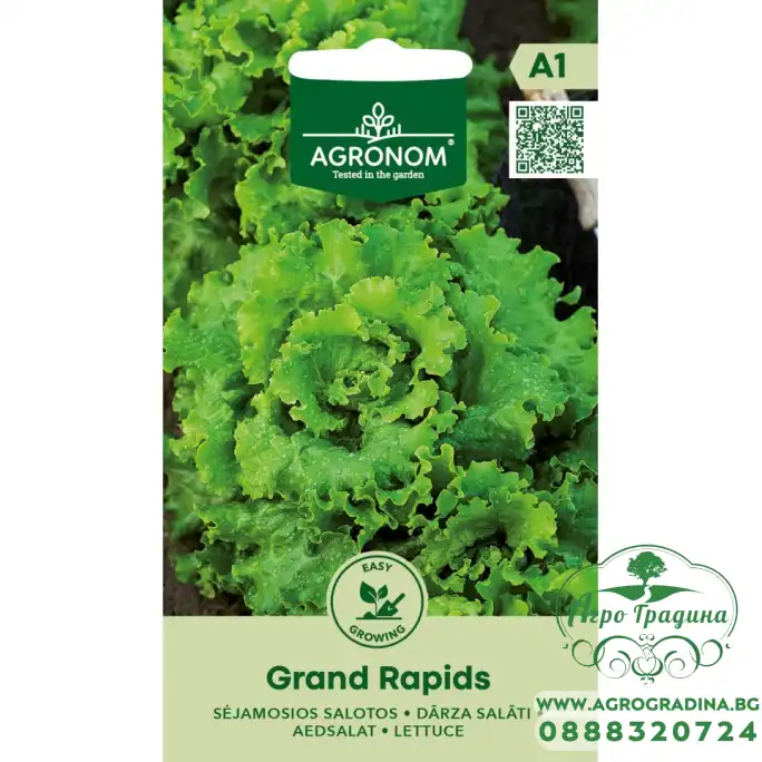 Салата Гранд Рапид Grand Rapids Салата Гранд Рапид Grand Rapids