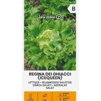 Салата Ледена кралица Regina dei ghiaccie