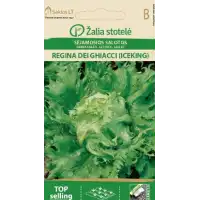 Салата Ледена кралица Regina dei ghiaccie