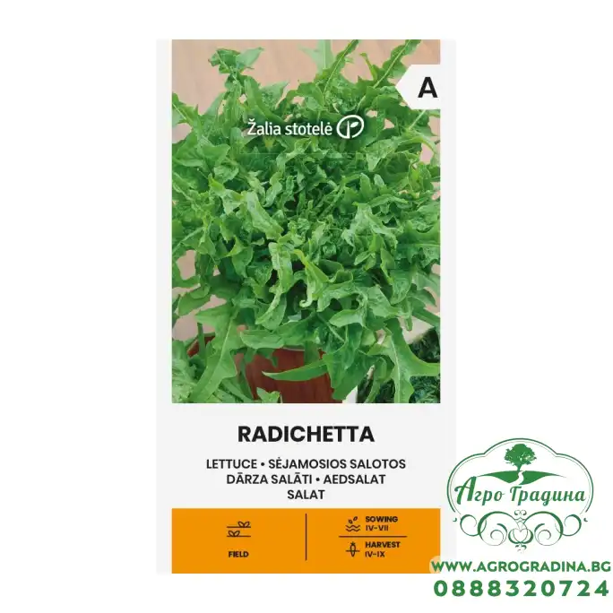 Салата Радичета Lactuca sativa L Салата Радичета Lactuca sativa L