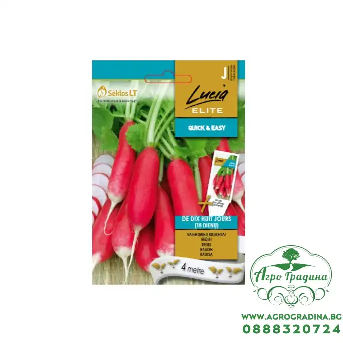 Семена на лента Репички дълги De dix huit jours