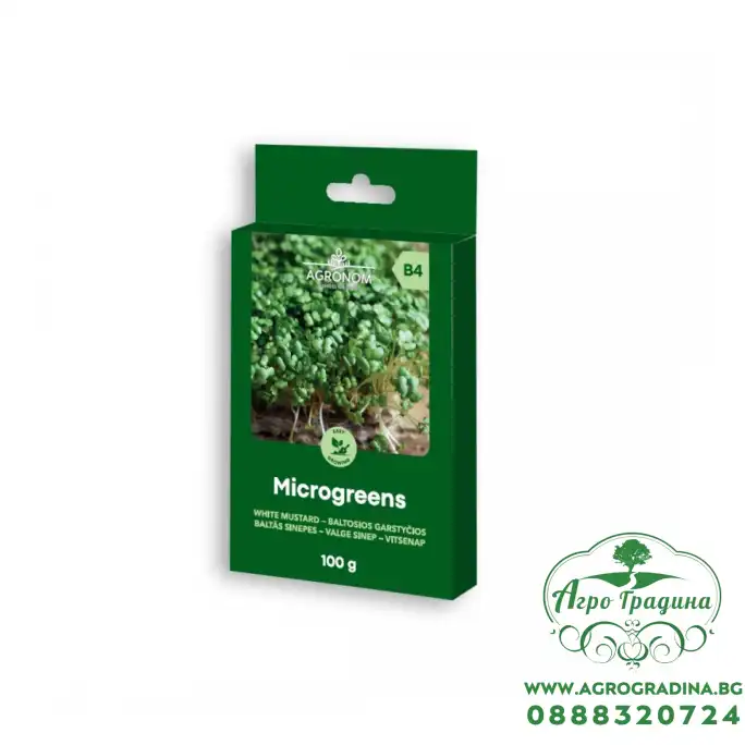 Семена за микро Бял Синап Sinapis alba L - 100 гр Семена за микро Бял Синап Sinapis alba L - 100 гр