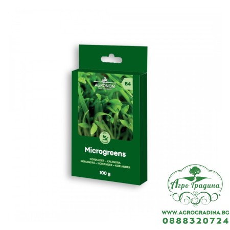 Семена за микро Кориандър Coriandrum sativum L - 100 гр