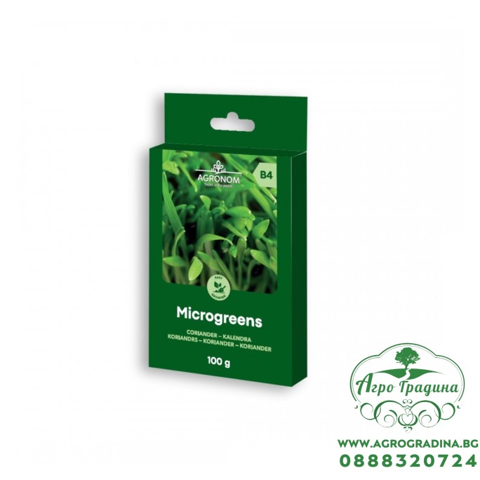 Семена за микро Кориандър Coriandrum sativum L - 100 гр