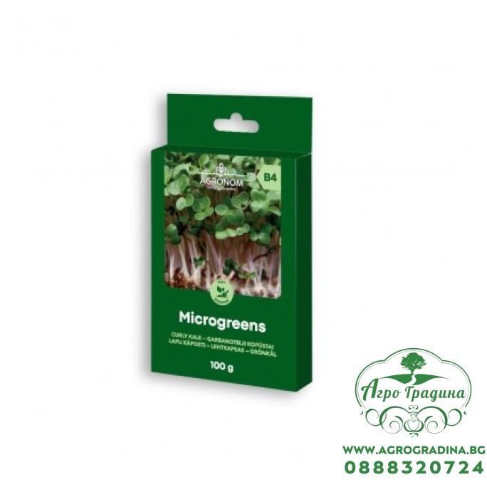 Семена за микро Къдрав Кейл Brassica oleracea L - 100 гр