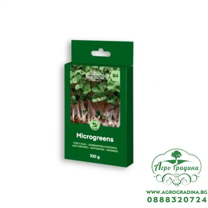 Семена за микро Къдрав Кейл Brassica oleracea L - 100 гр Семена за микро Къдрав Кейл Brassica oleracea L - 100 гр