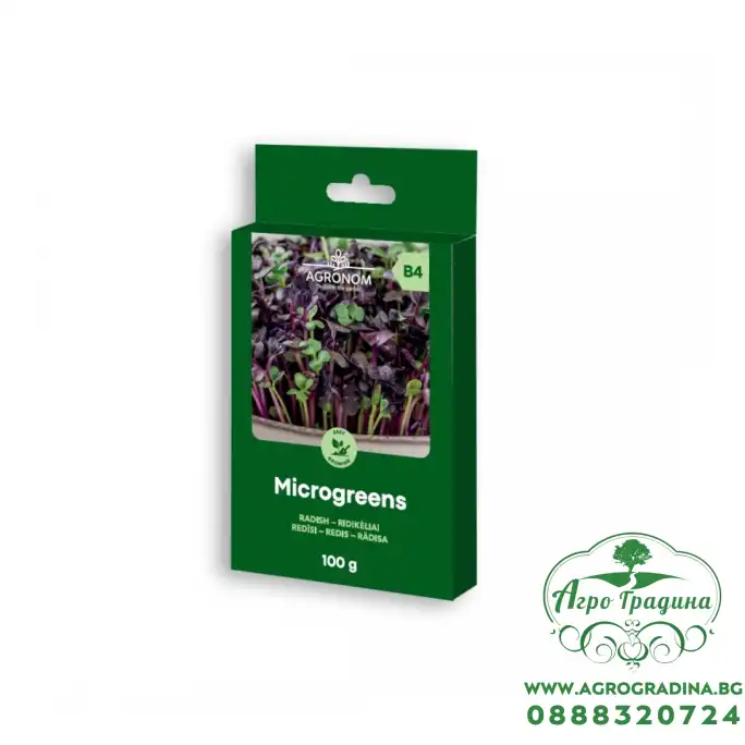 Семена за микро Репички Raphanus sativus L - 100 гр Семена за микро Репички Raphanus sativus L - 100 гр