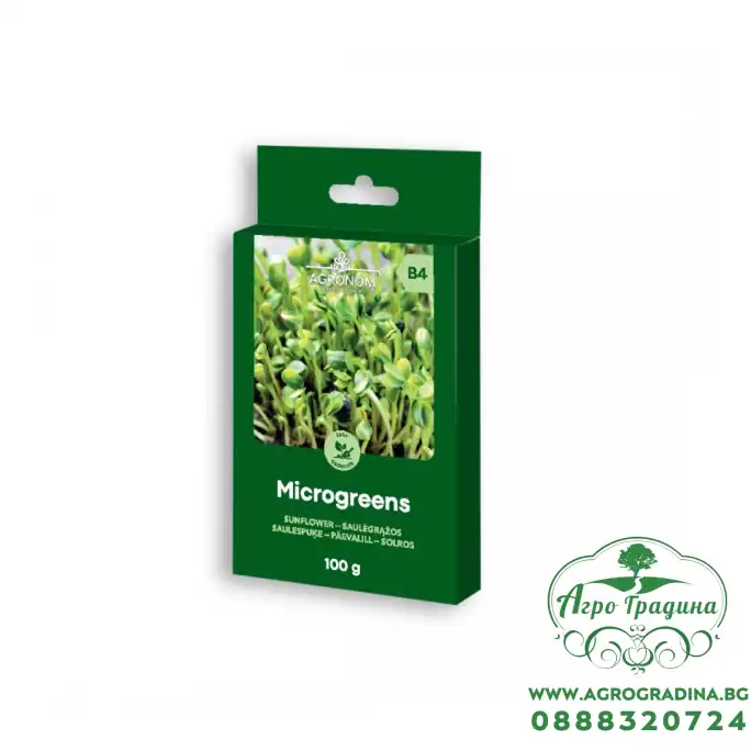 Семена за микро Слънчоглед Helianthus annuus L - 100 гр
