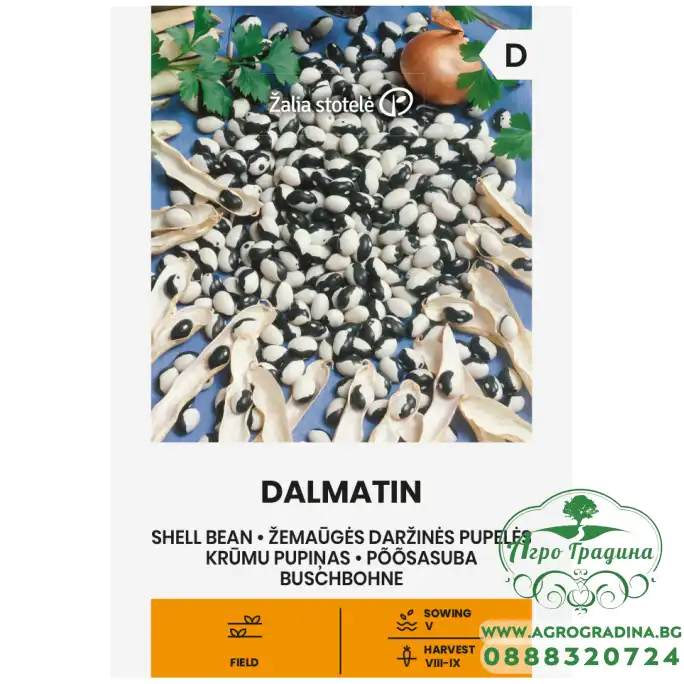 Фасул Далматин Dalmatin (храстовиден с шарено бяло-черно зърно)