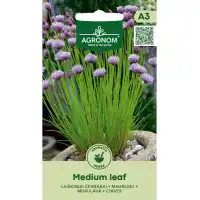 Шивес Чеснов Medium leaf