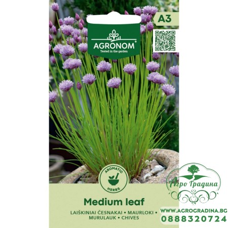 Шивес Чеснов / Medium leaf