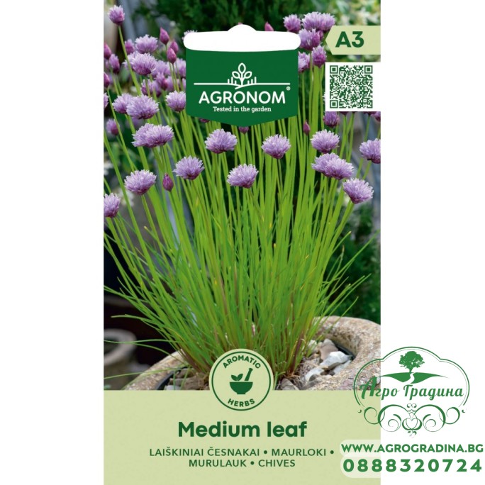 Шивес Чеснов / Medium leaf