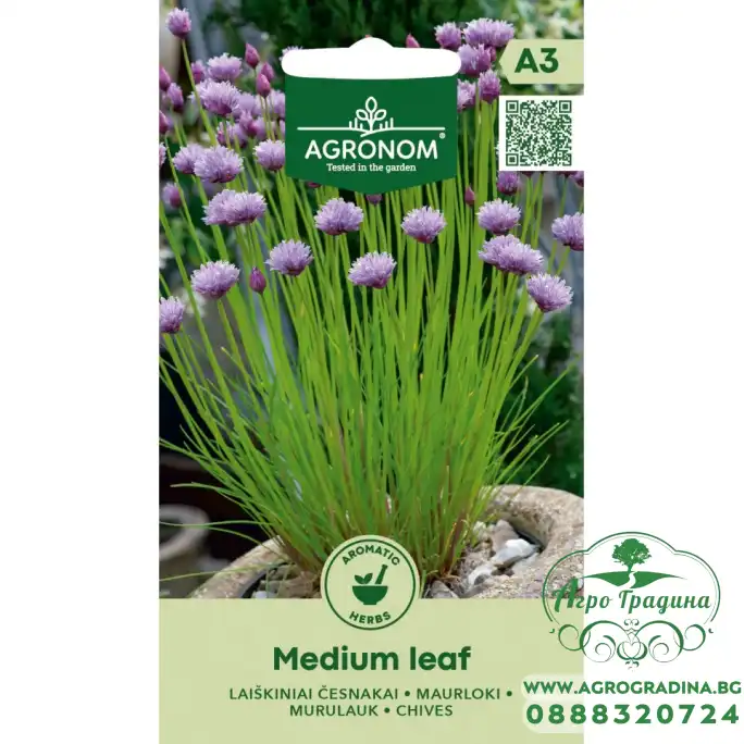 Шивес Чеснов Medium leaf Шивес Чеснов Medium leaf