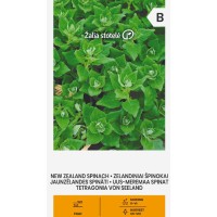 Спанак Нова Зеландия (летен сорт) / Spinich New Zealand