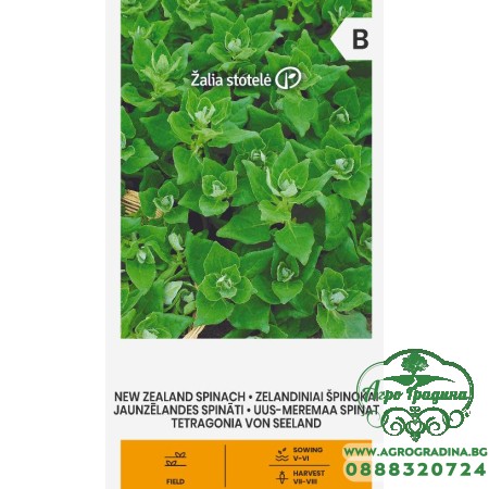 Спанак Нова Зеландия (летен сорт) / Spinich New Zealand